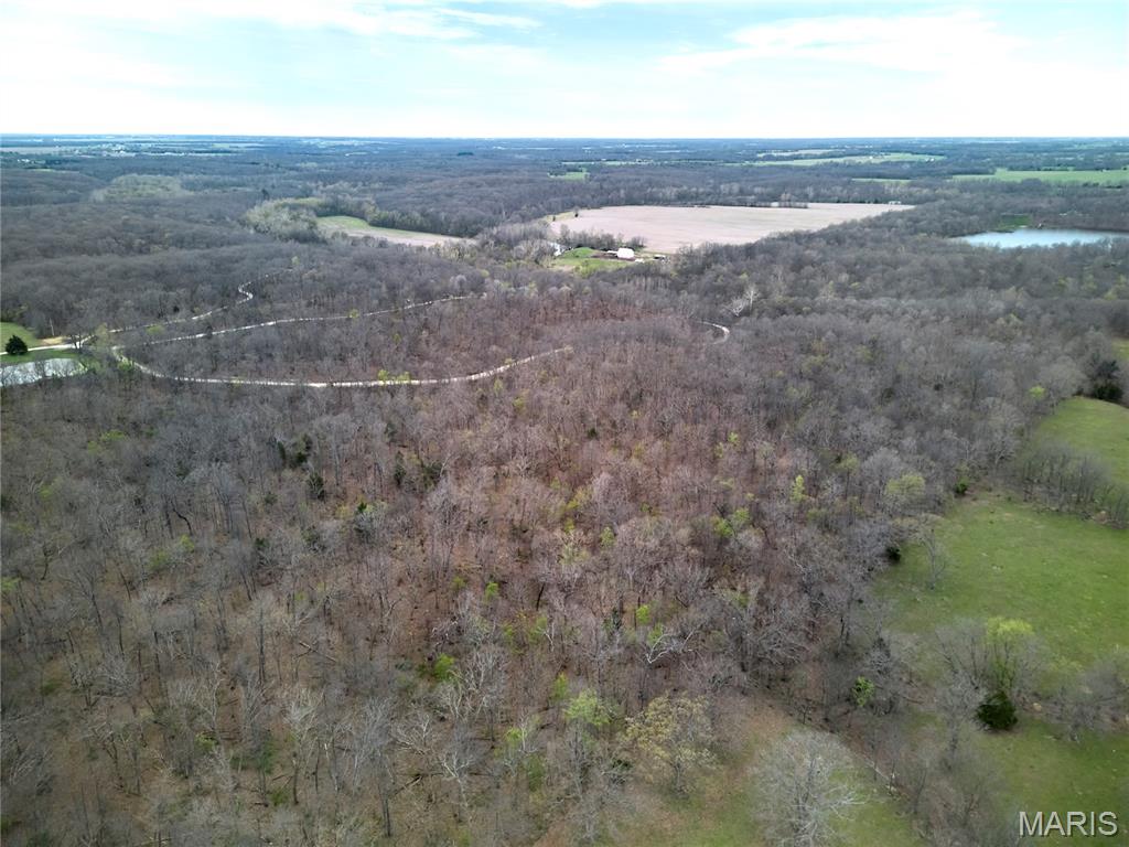 0 Pond Bottom Road Property Photo 19