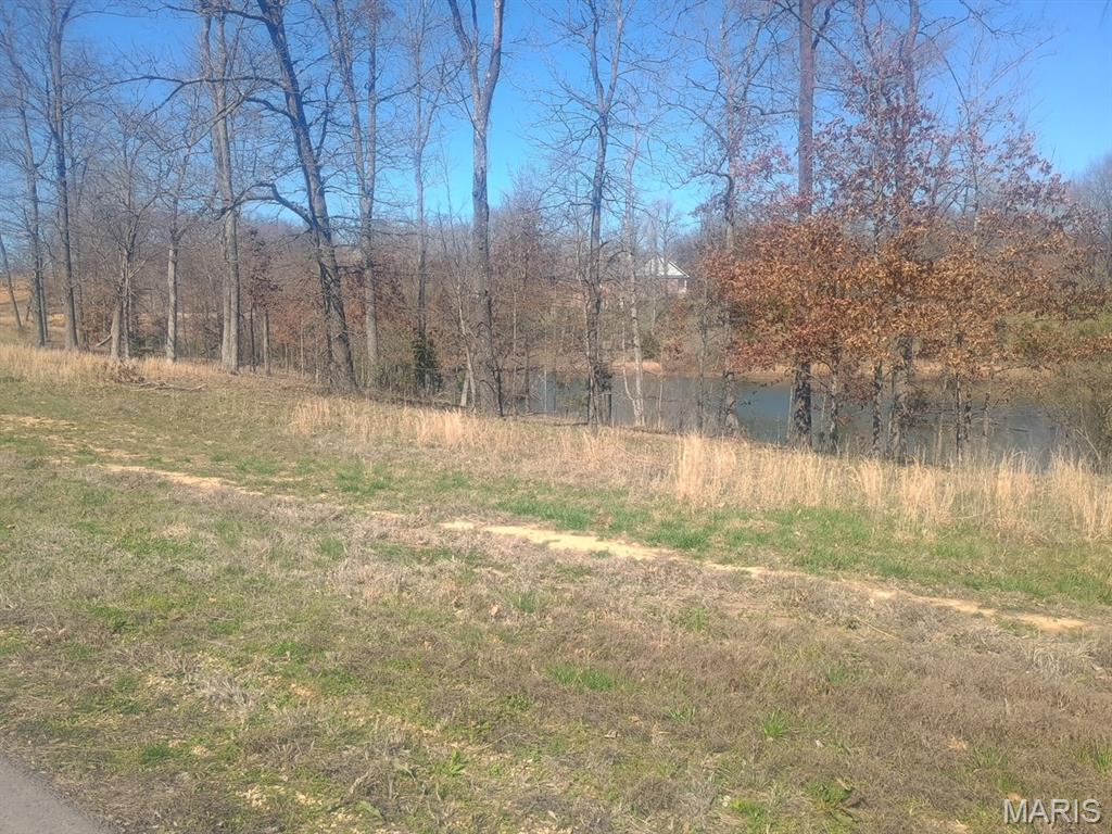 Lot 155 Saddlebrooke Ridge Property Photo 1