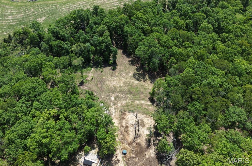 724 River Trails Road Property Photo 17