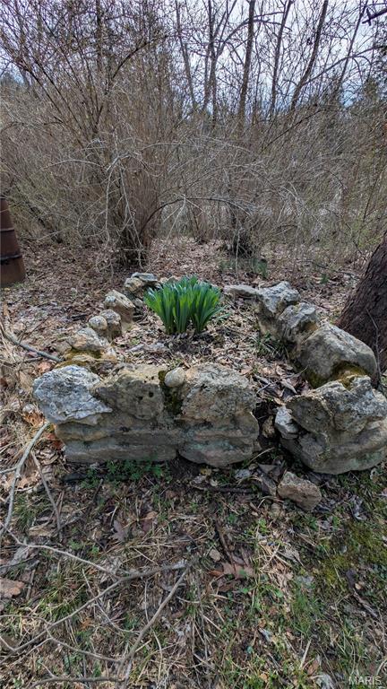 567 Highway D Property Photo 4