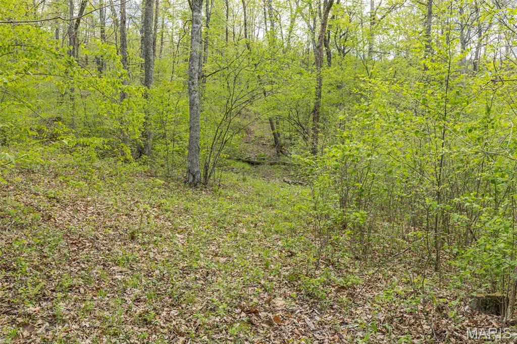 0 Highway O Property Photo 19
