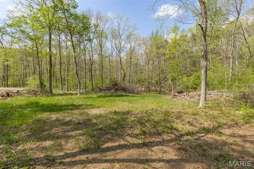 0 Highway O Property Photo 21