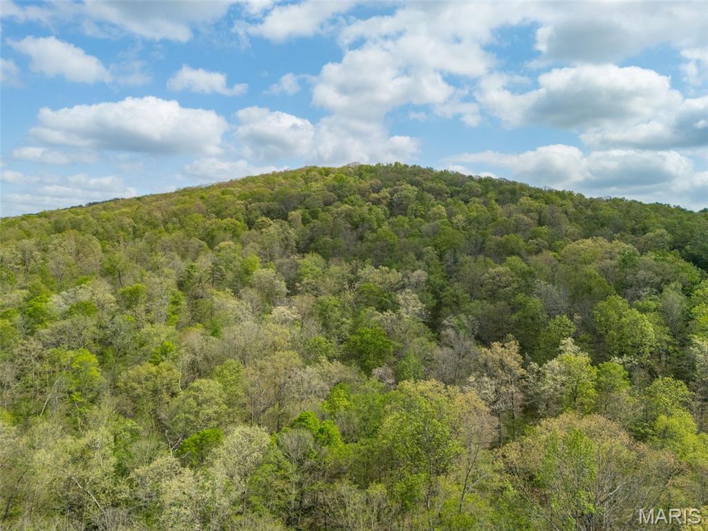 0 Highway O Property Photo 24