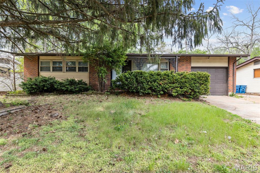 1631 Chesley Drive Property Photo 1