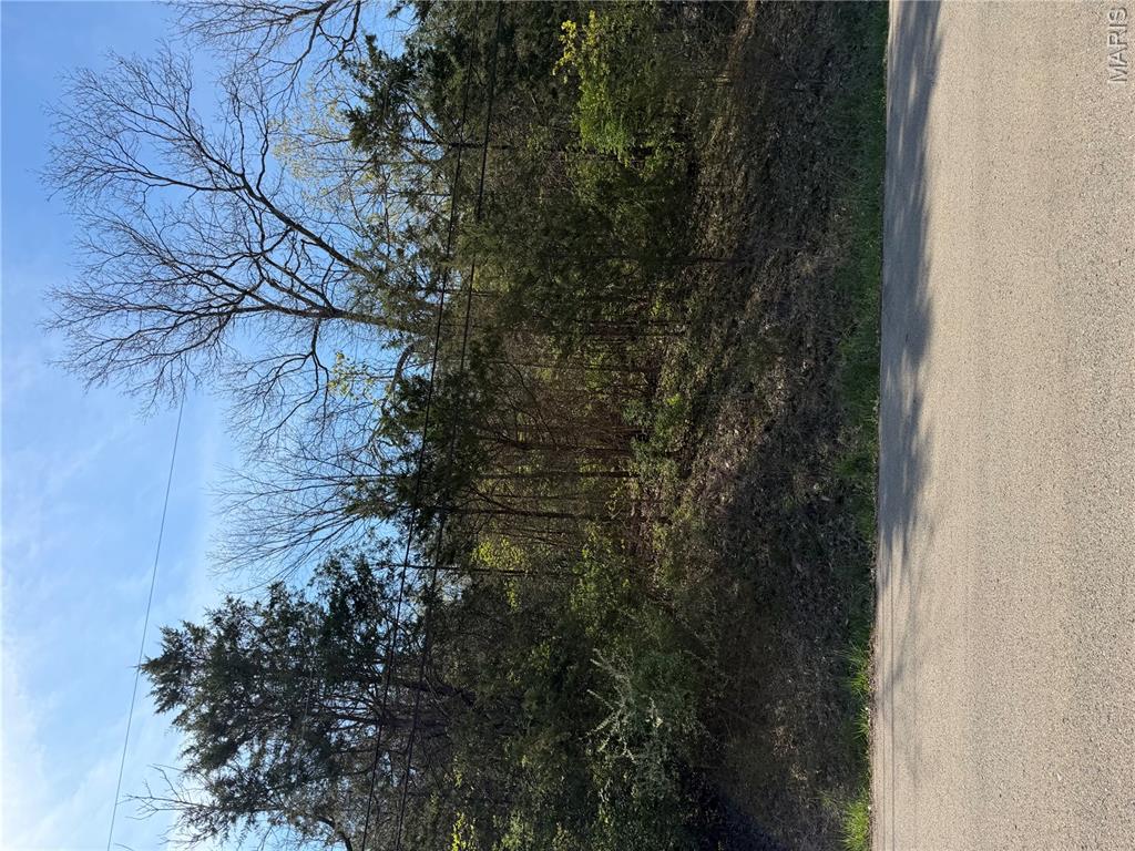 Tbd Napoleon Dr. Property Photo 1