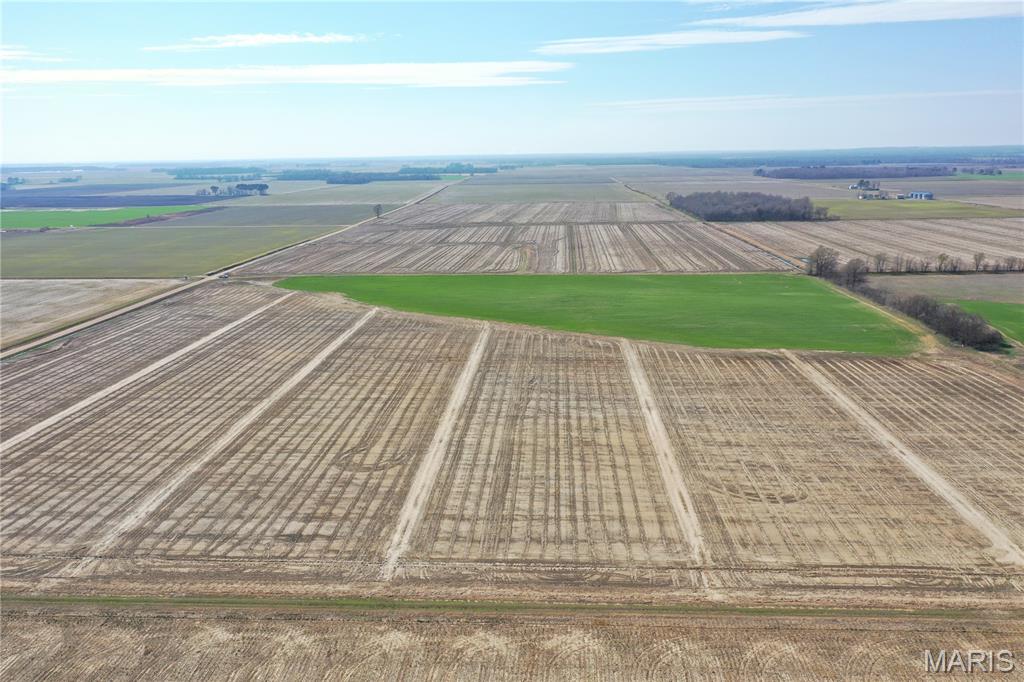 Tbd Clay County Road 172 Property Photo 1