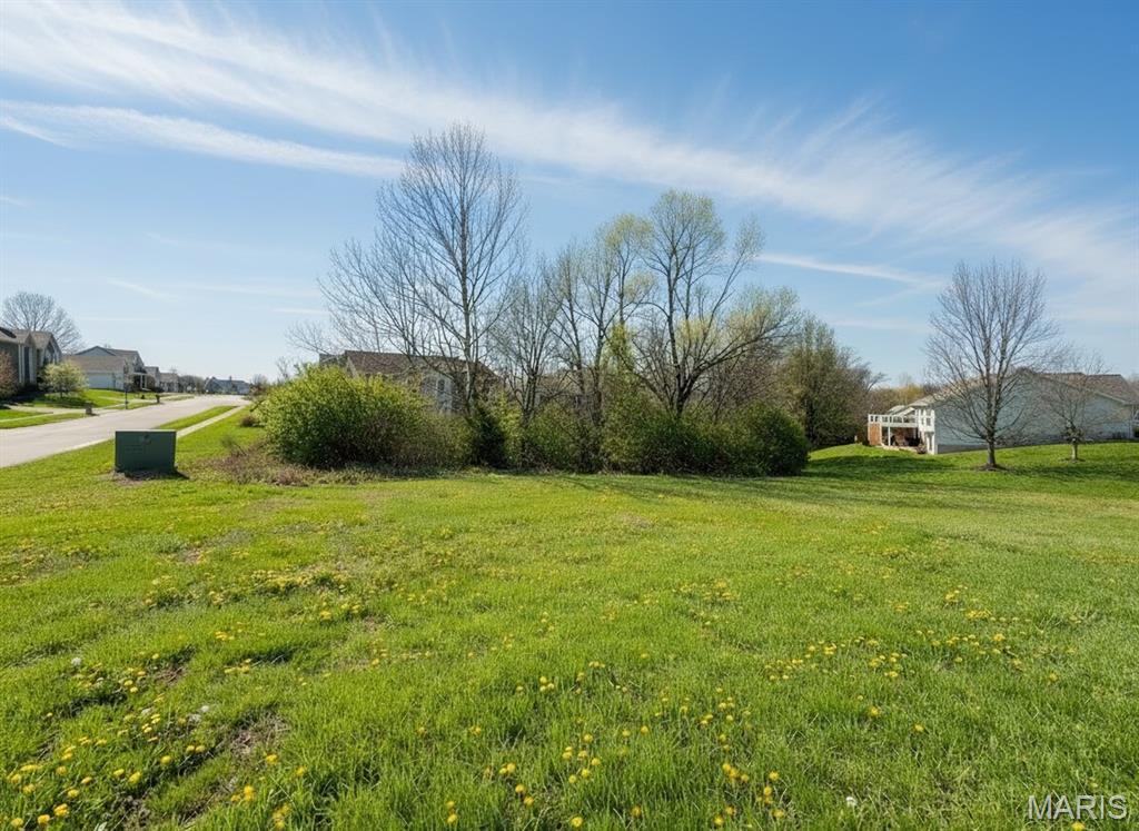 807 Liberty Creek Drive Property Photo 1