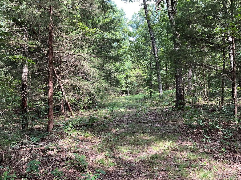 000 County Road 544 Property Photo 29