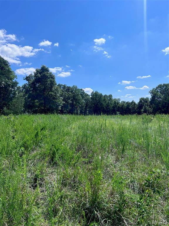 000 County Road 544 Property Photo 34
