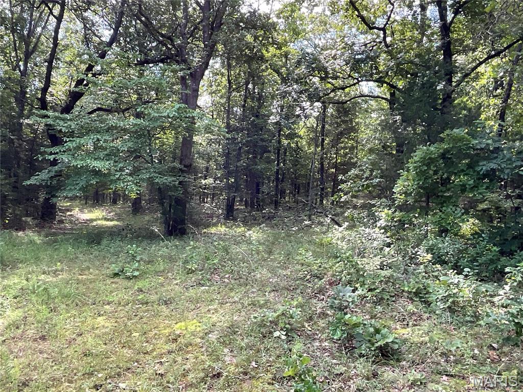 000 County Road 544 Property Photo 39