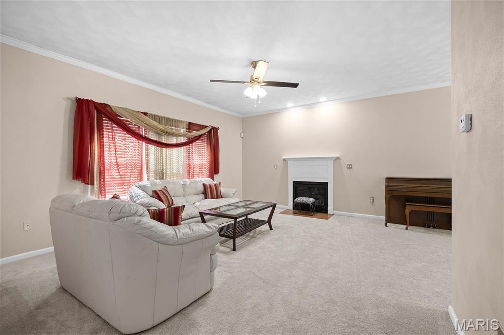 66 Dianne Drive Property Photo 6