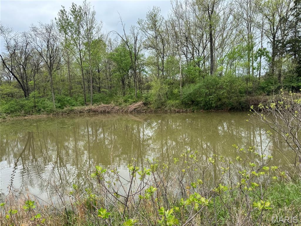 Lot 16 Pine Crest Estates Property Photo 1