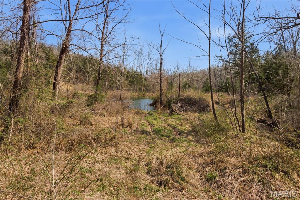 2480 County Road 317 Property Photo 37