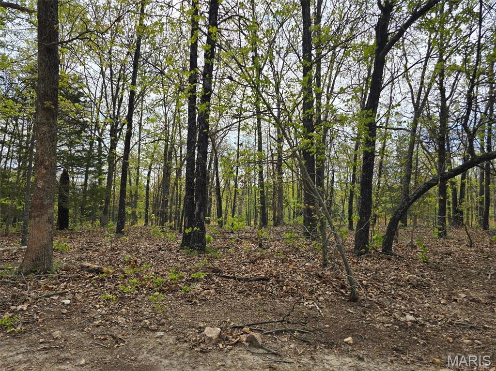 Tract M Greatview Lane