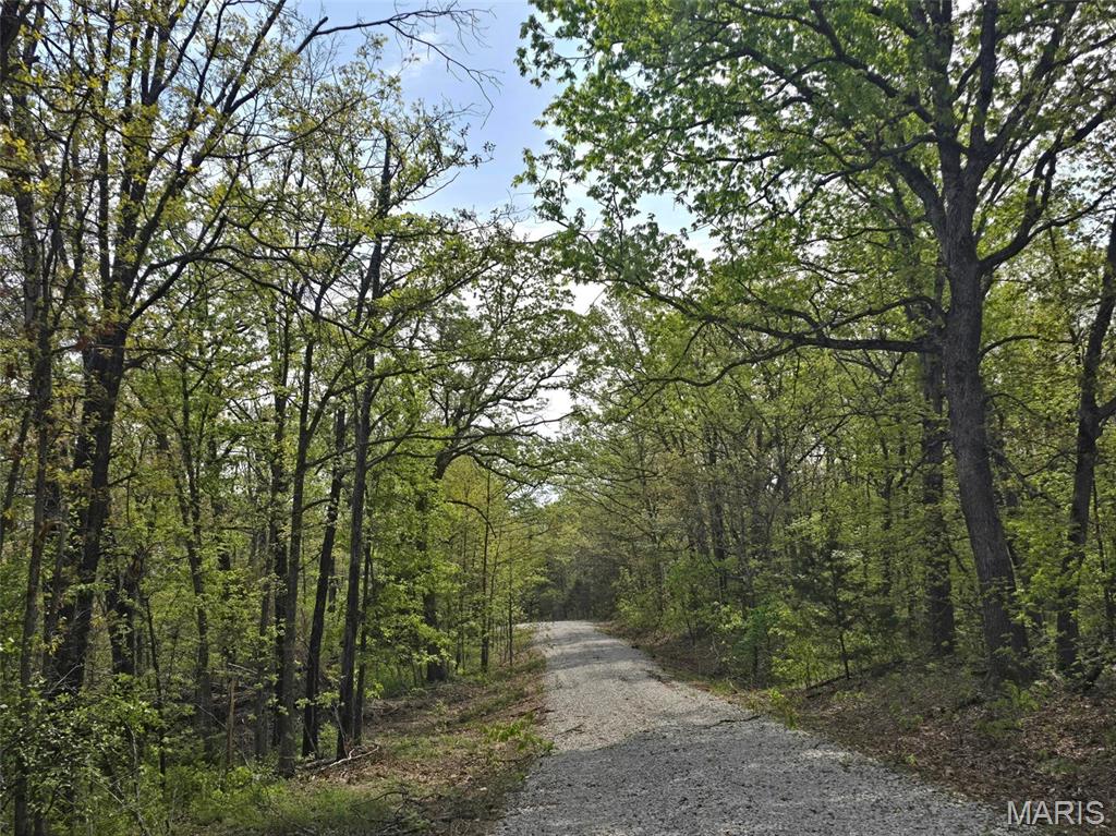 Tract R Greatview Lane Property Photo 1