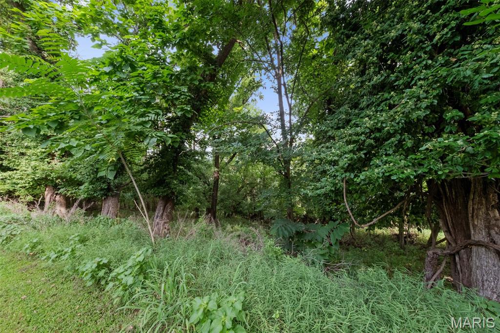 205 E 8th Street Property Photo 55