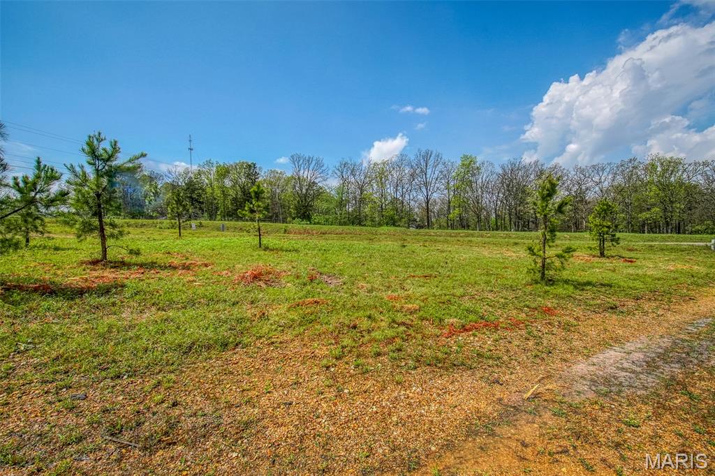 1000 Walnut Street Property Photo 11