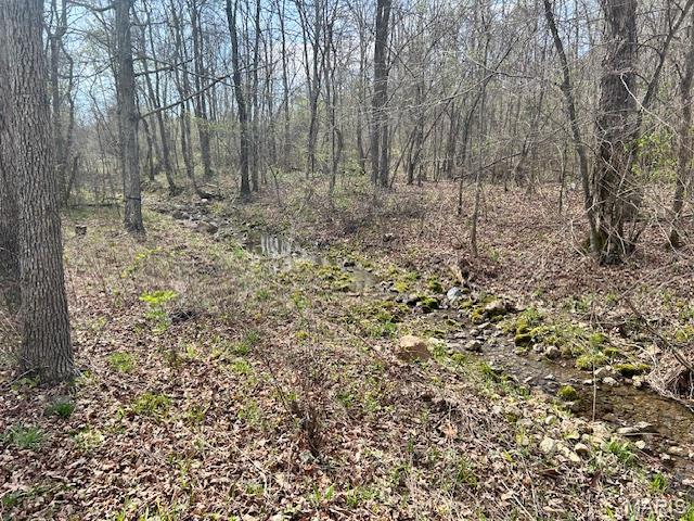 413 Kelley Road Property Photo 17