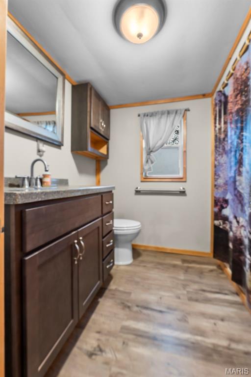 16482 Highway T Property Photo 17