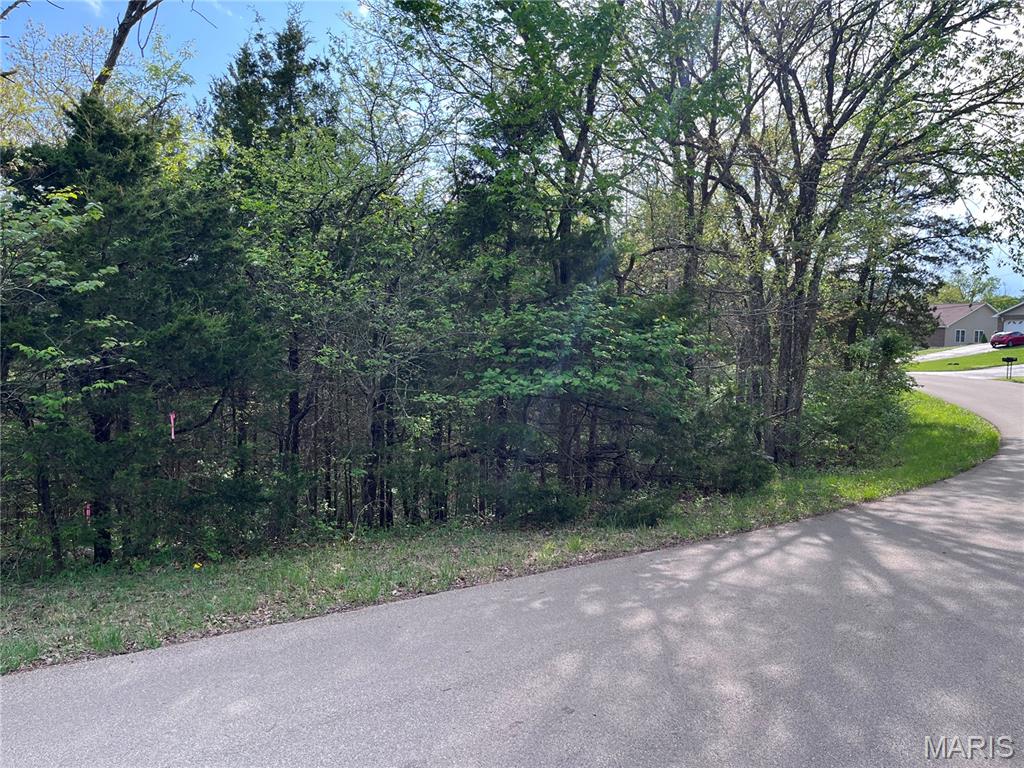 0 Napoleon Drive Property Photo 3