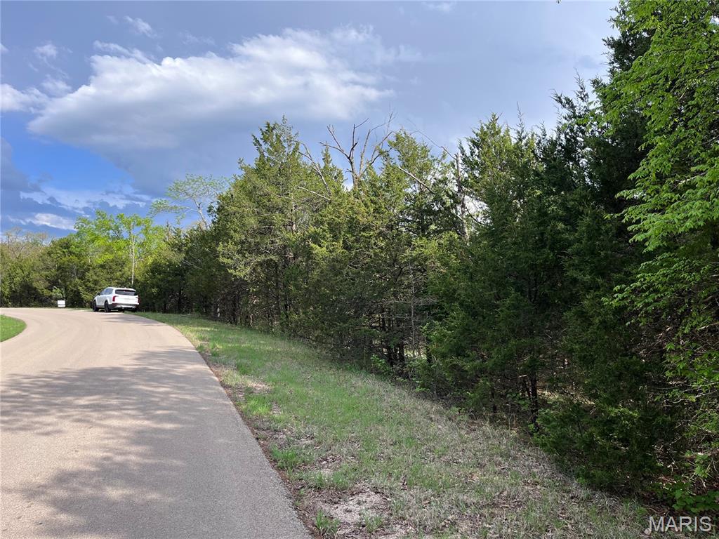 0 Napoleon Drive Property Photo 4