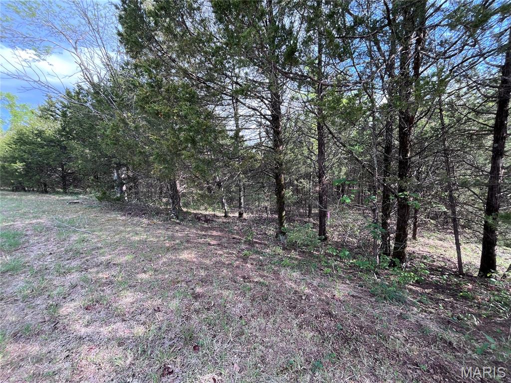 0 Napoleon Drive Property Photo 6
