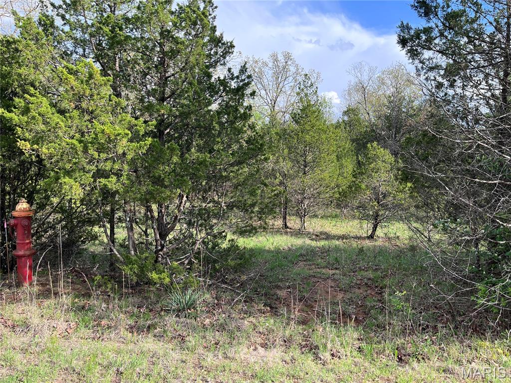 0 Napoleon Drive Property Photo 8