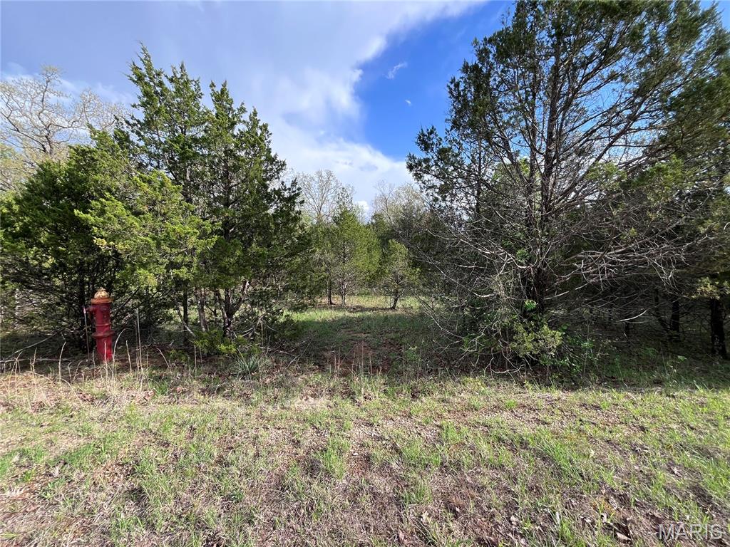 0 Napoleon Drive Property Photo 9