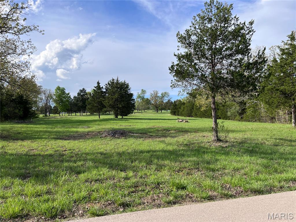 0 Napoleon Drive Property Photo 10