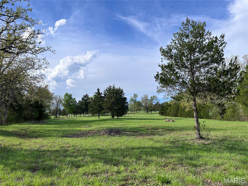 0 Napoleon Drive Property Photo 11