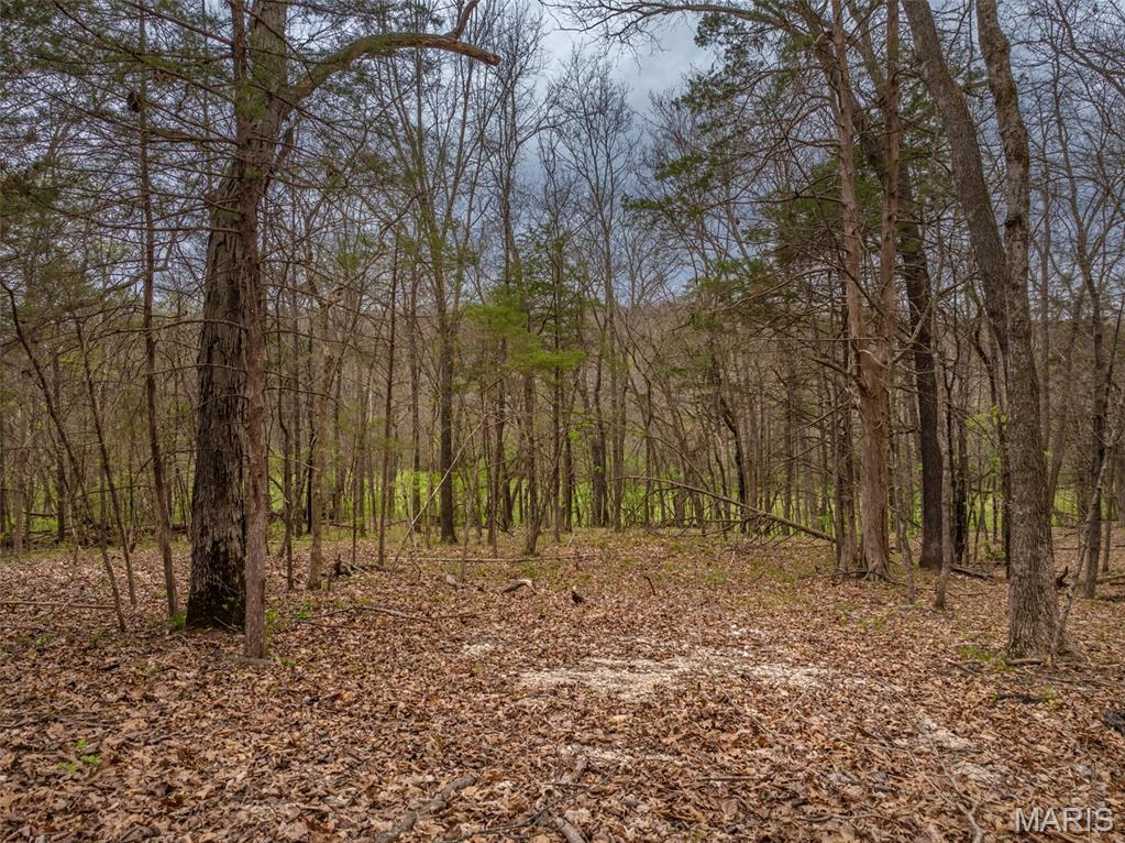 2903 Valley View Drive Property Photo 1