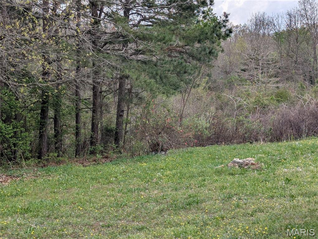 17221 Chicory Lane Property Photo 7