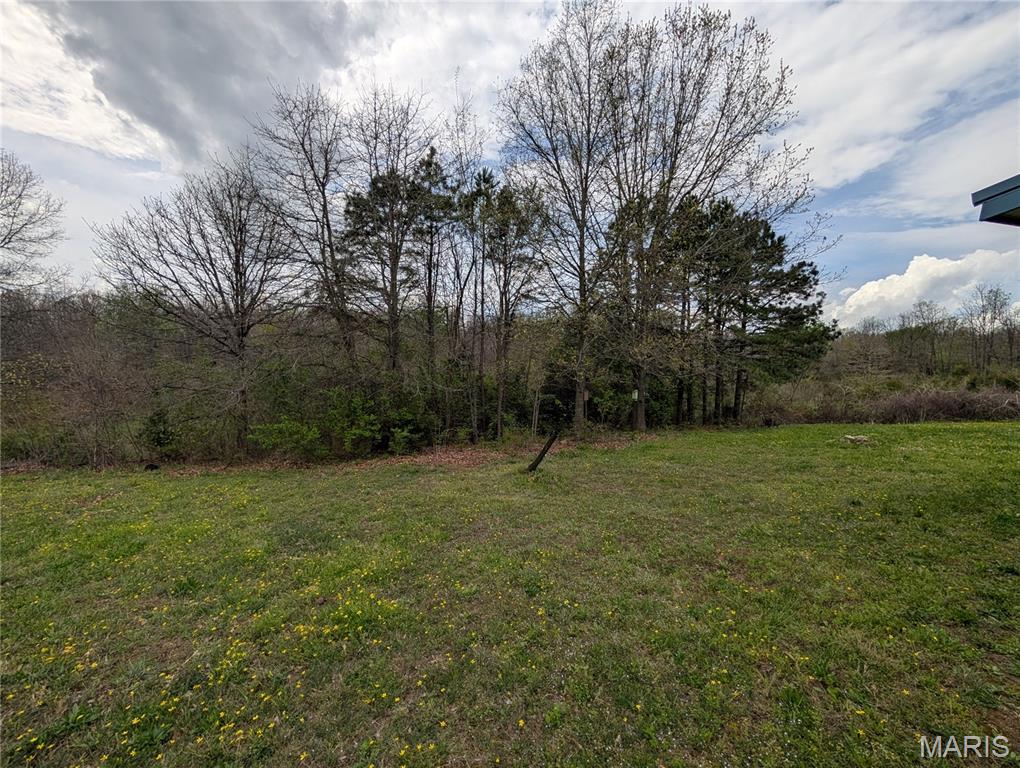17221 Chicory Lane Property Photo 9