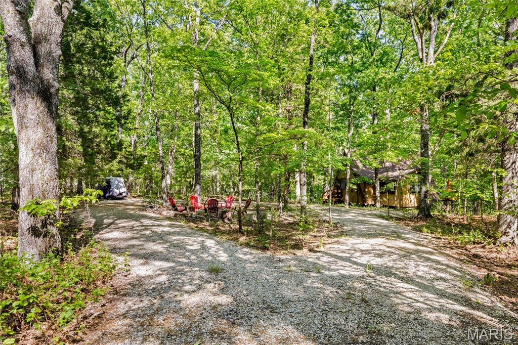 314 W Wanderfern Circle Drive Property Photo 17