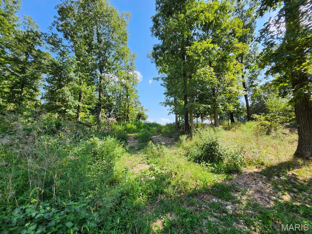 000 M- Girlstown Road Property Photo 8