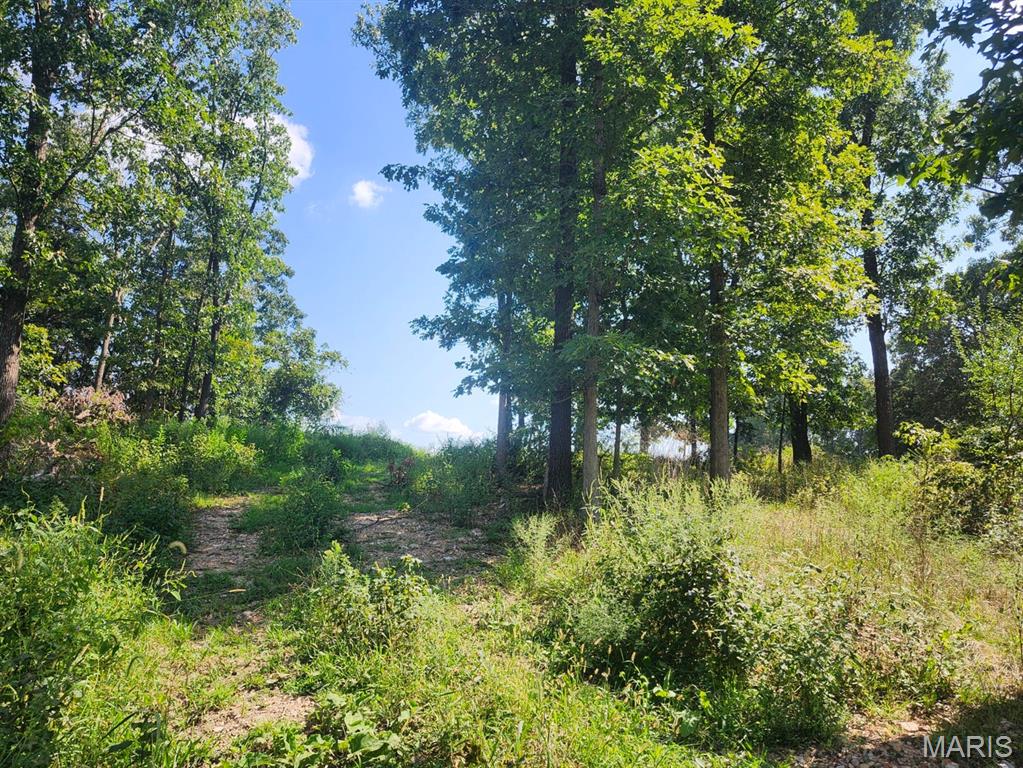 000 M- Girlstown Road Property Photo 10