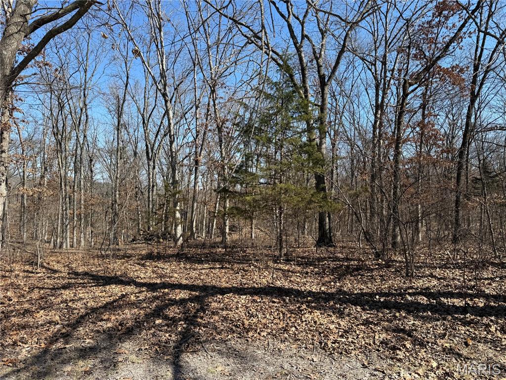 Tbd Monroe Road 577 Property Photo 1