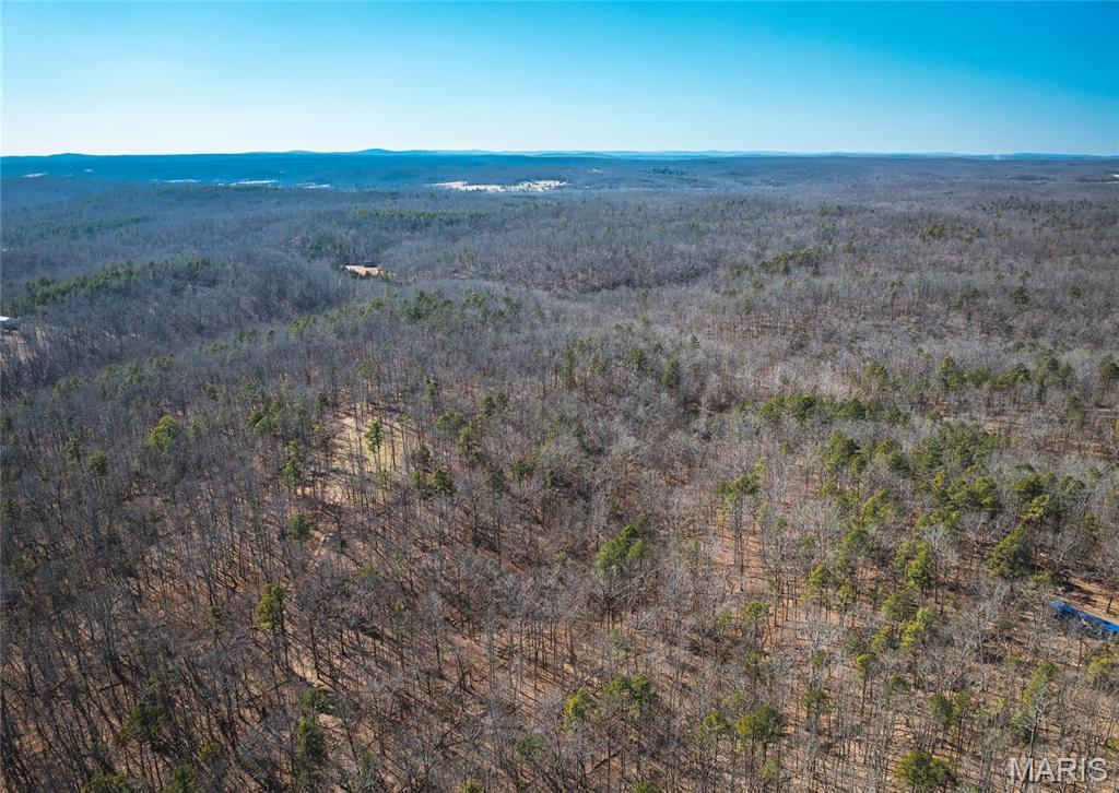 37805 State Highway Hh Property Photo 4