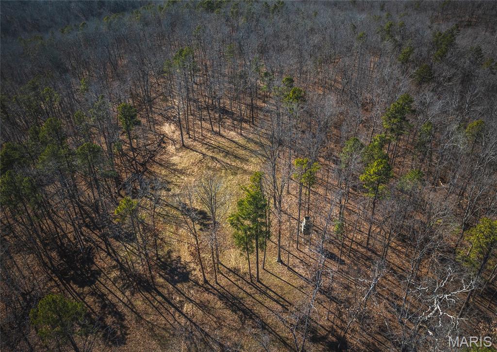 37805 State Highway Hh Property Photo 6