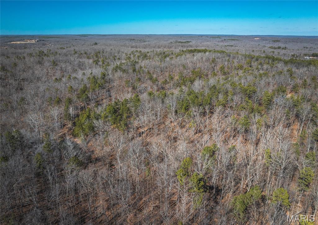 37805 State Highway Hh Property Photo 7