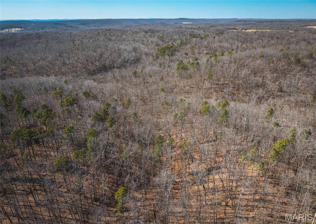 37805 State Highway Hh Property Photo 8