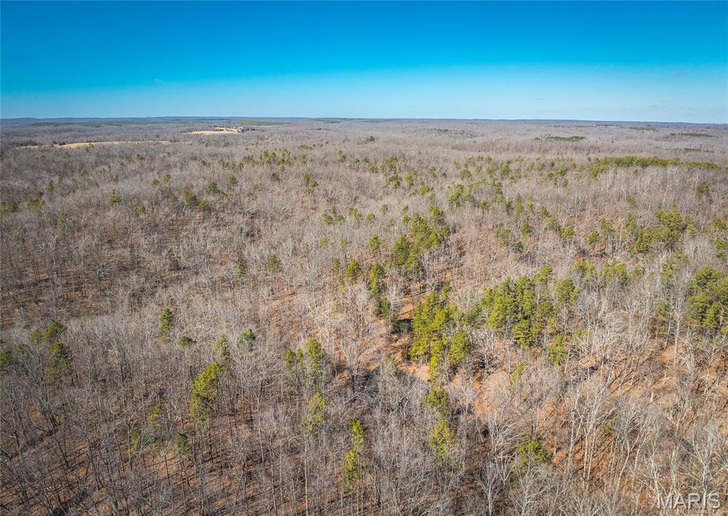 37805 State Highway Hh Property Photo 9