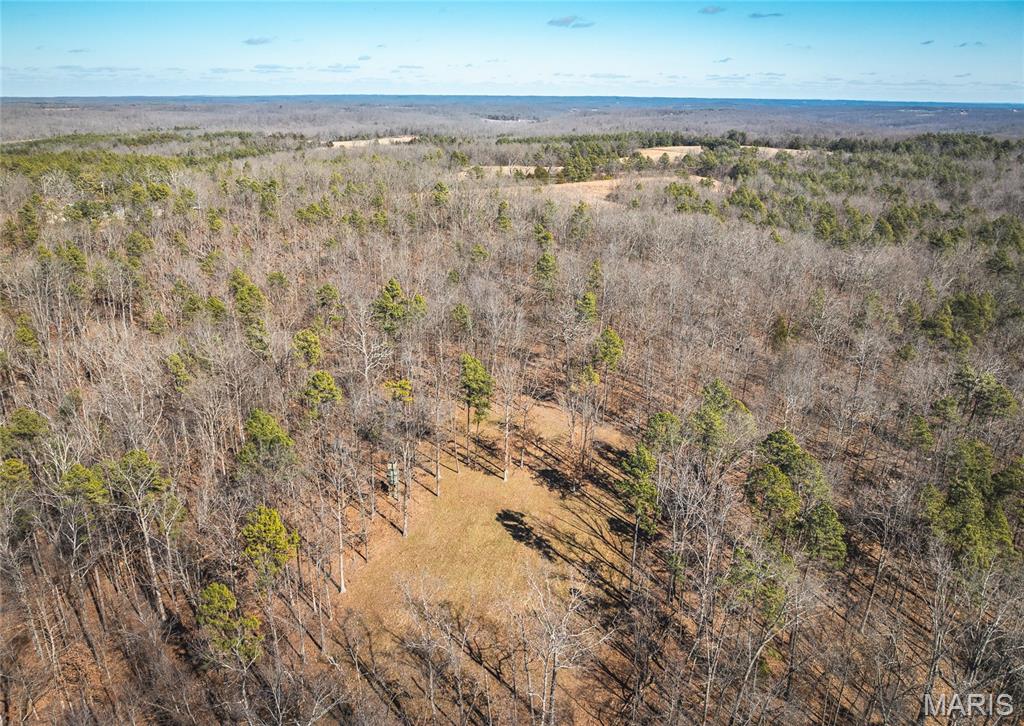 37805 State Highway Hh Property Photo 10