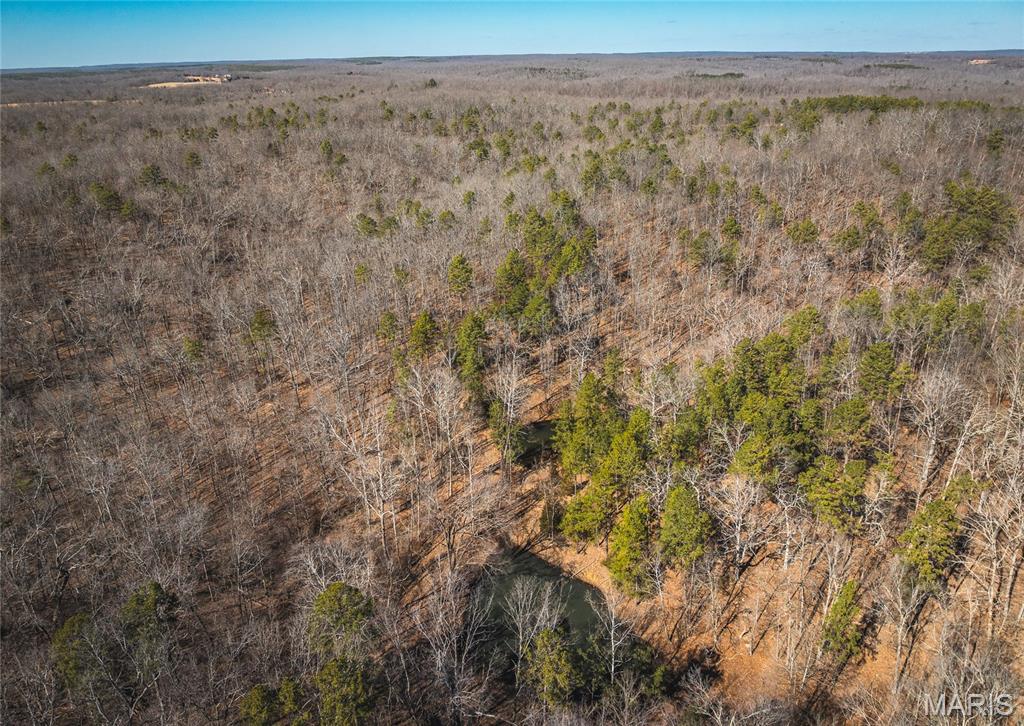 37805 State Highway Hh Property Photo 11