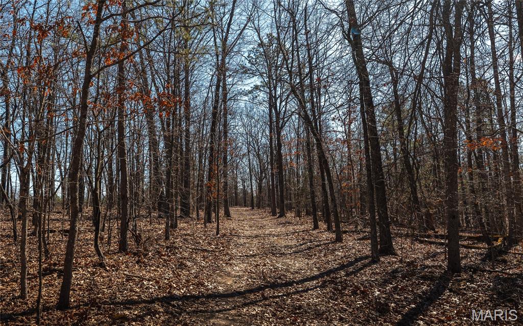 37805 State Highway Hh Property Photo 15