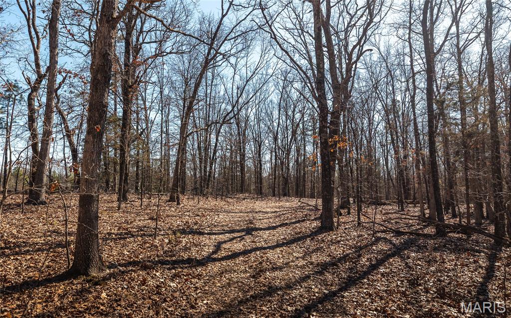 37805 State Highway Hh Property Photo 16