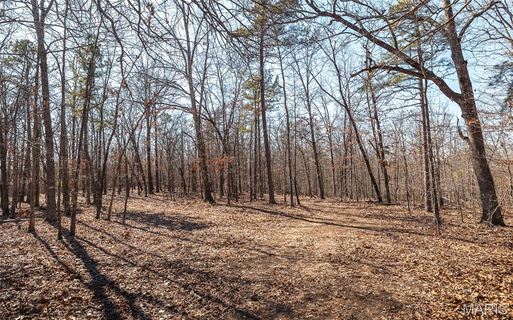 37805 State Highway Hh Property Photo 17