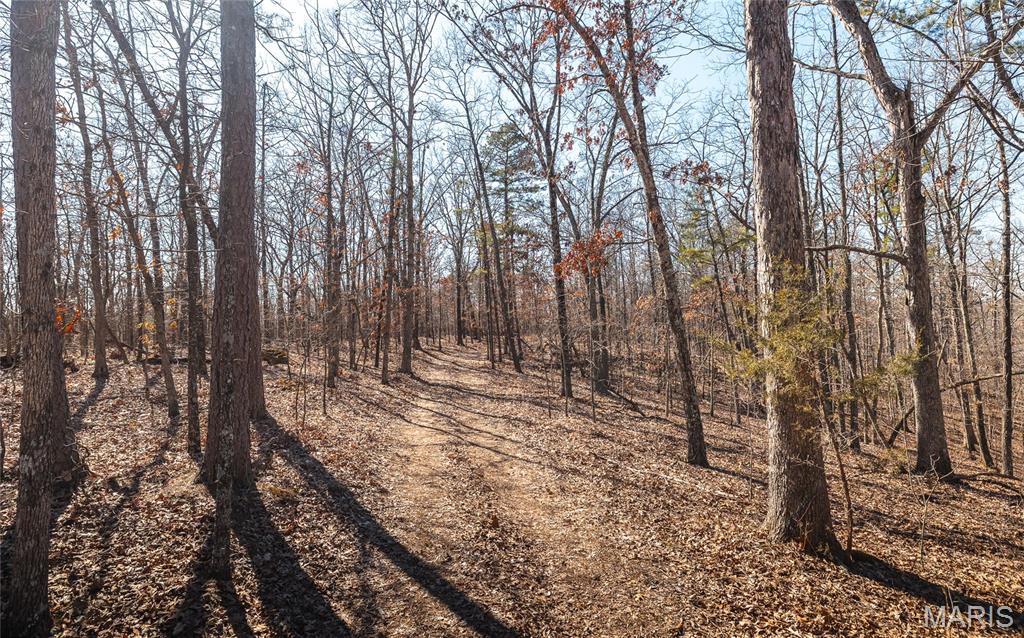 37805 State Highway Hh Property Photo 18