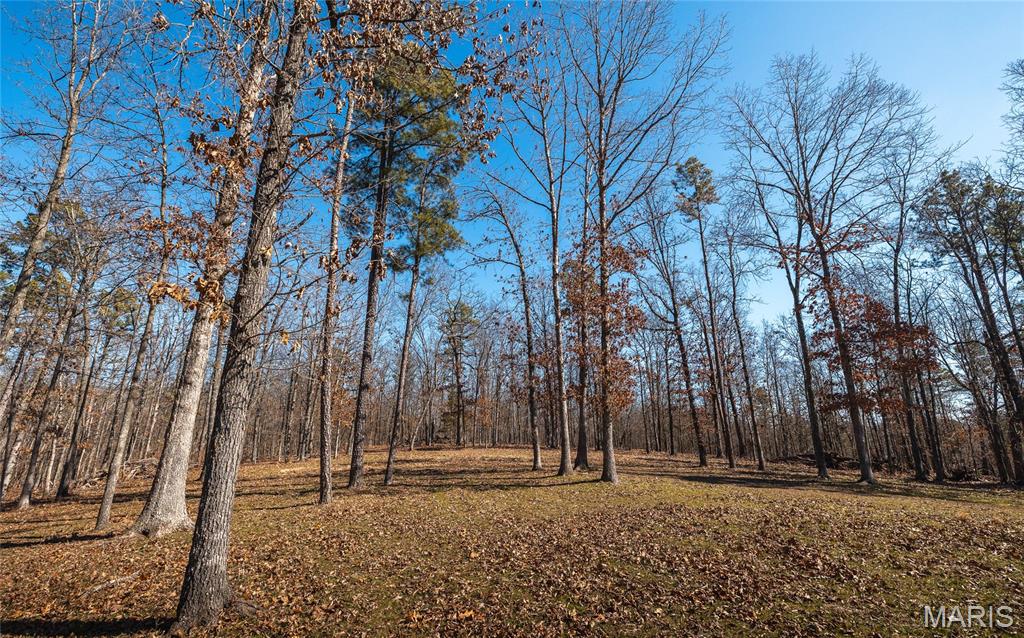 37805 State Highway Hh Property Photo 23