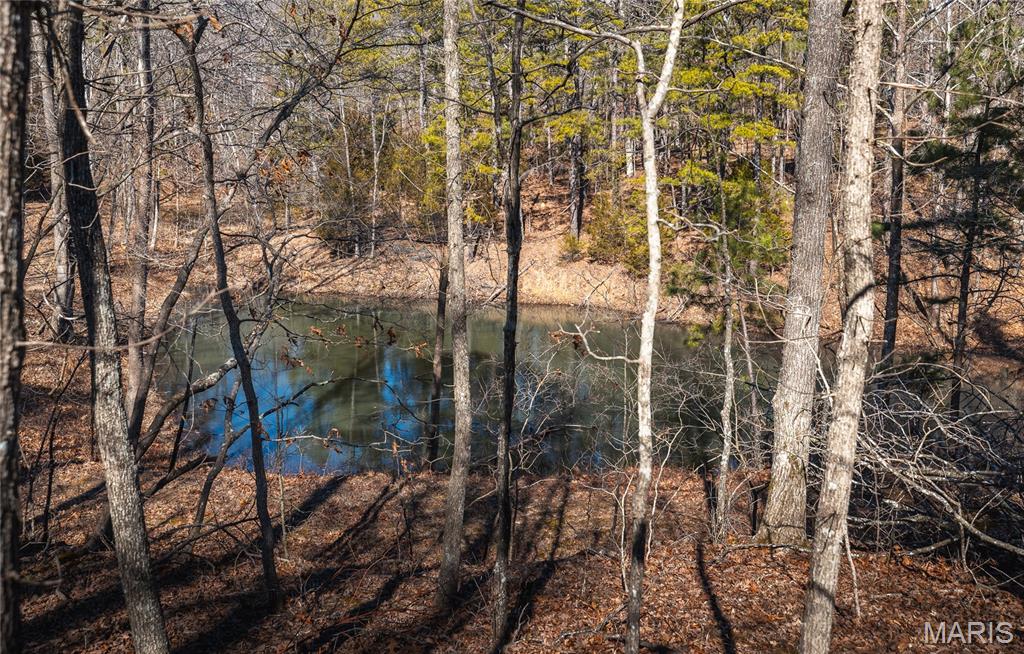 37805 State Highway Hh Property Photo 26